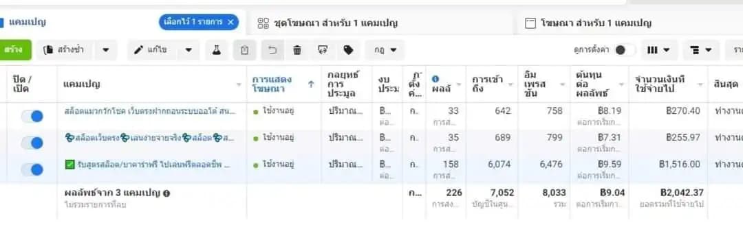 ตัวอย่างผลลัพธ์แคมเปญ Facebook Ads 5